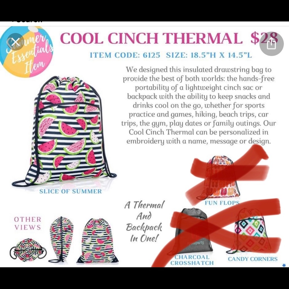 New with tags!!  ThirtyOne cool cinch thermal bag!! Retired print